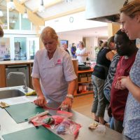 De Linde ambassadeur van Bulungi